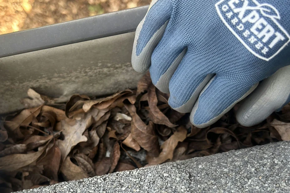 Gutter Cleaning Pennington